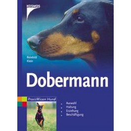 Dobermann