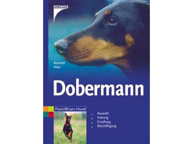 Dobermann
