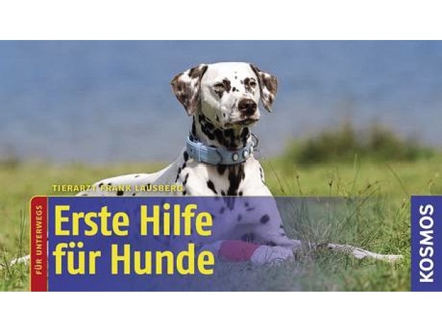 Erste Hilfe für Hunde
