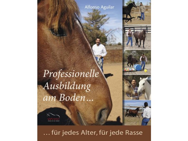 Professionelle Ausbildung am Boden