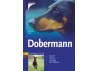 Dobermann
