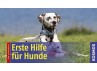 Erste Hilfe für Hunde